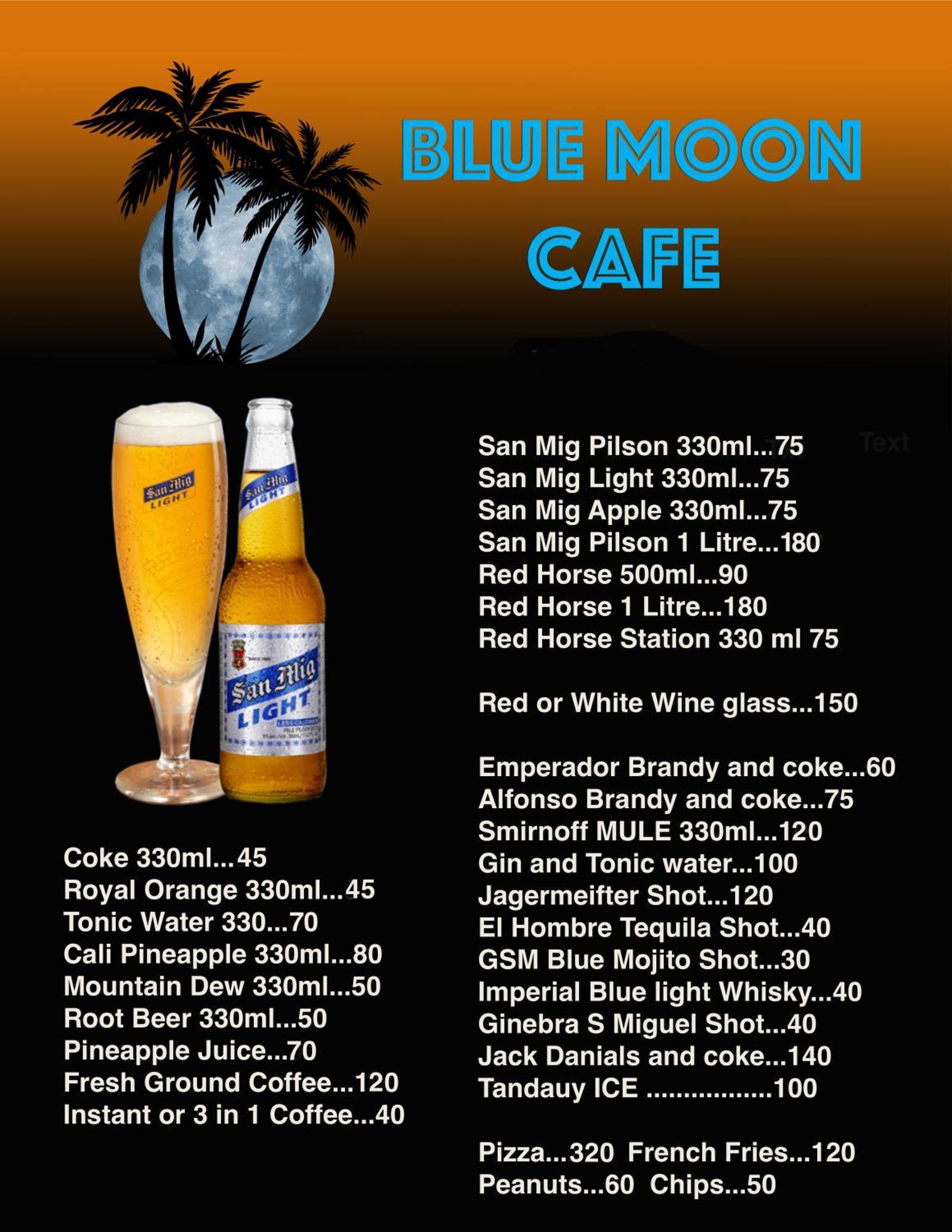 Blue Moon Cafe&guesthouse Puerto Princesa Extérieur photo